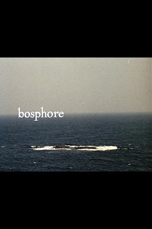 Póster de la película Bosphore