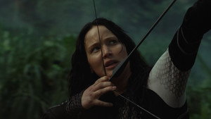 The Hunger Games: Catching Fire
