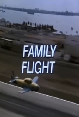 Póster de la película Family Flight