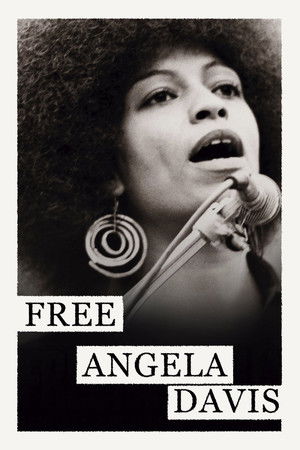 Póster de la película Free Angela and All Political Prisoners