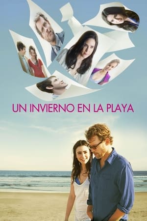 Póster de la película Un invierno en la playa