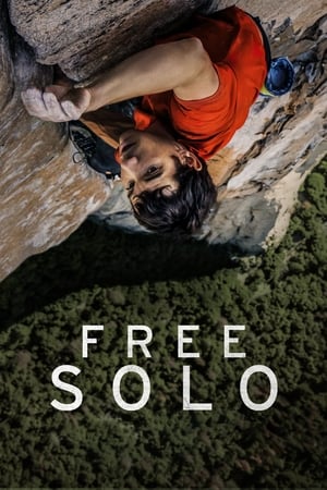 Póster de la película Free Solo