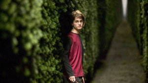 Harry Potter and the Goblet of Fire