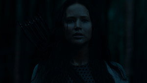 The Hunger Games: Catching Fire