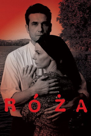 Róża