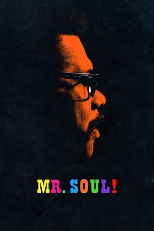 Póster de la película Mr. SOUL!