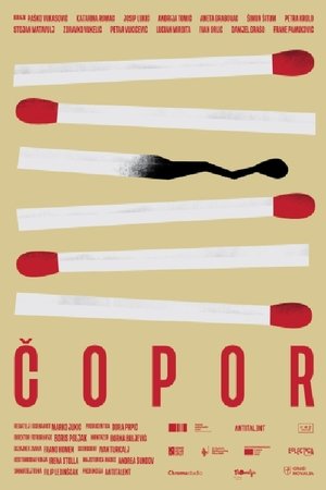 Póster de la película Čopor