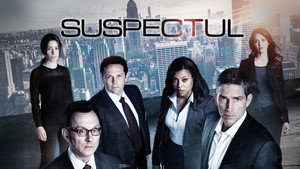 Person of Interest
