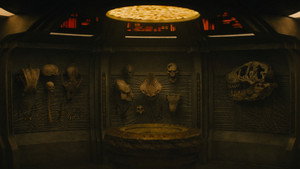 Predator: Badlands