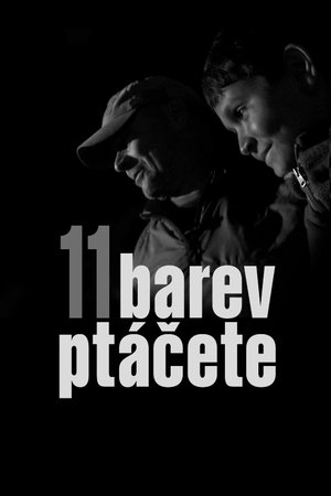 Póster de la película 11 barev ptáčete