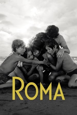 Póster de la película Roma