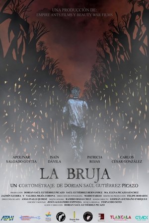 Póster de la película La Bruja