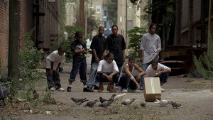 The Wire
