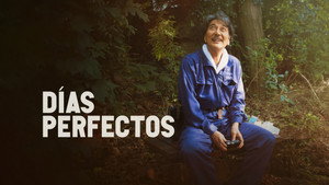 PERFECT DAYS