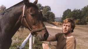 Default Netflix logo