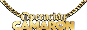 Operación Camarón