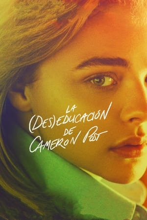 Póster de la película La (des)educación de Cameron Post