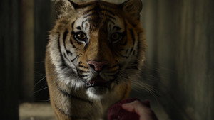 Life of Pi