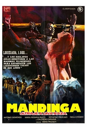 Póster de la película Mandinga (Ultraje a una raza)