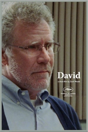 Póster de la película David