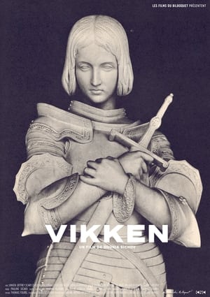 Póster de la película Vikken