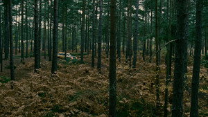 Children of Men