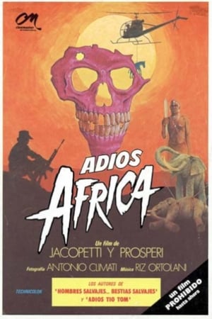 Póster de la película Adiós África