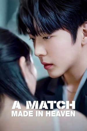 watch a match made in heaven tv show poster
