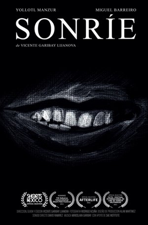 SonrΓe poster movie