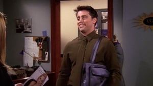 S5-E13: The One with Joey's Bag