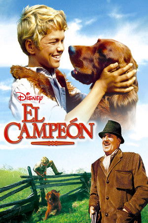 Póster de la película El campeón