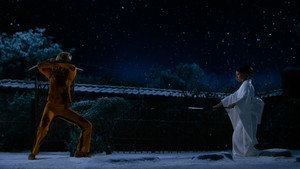 Kill Bill: The Whole Bloody Affair