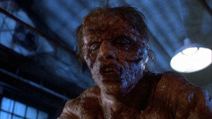 The Fly