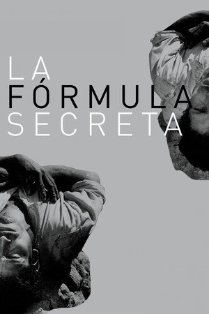 Póster de la película La fórmula secreta