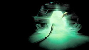The Fly