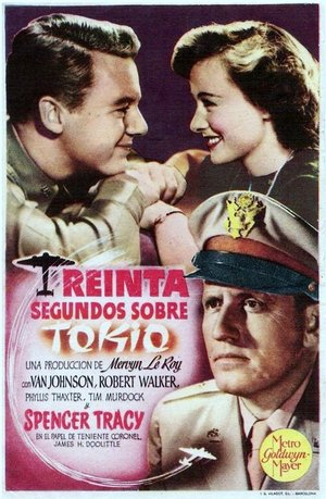 Póster de la película Treinta segundos sobre Tokio