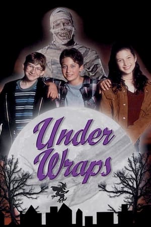 Póster de la película Under Wraps