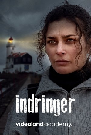 Póster de la película Indringer