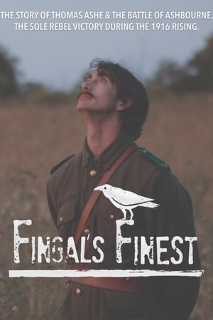 watch fingal's finest movie poster