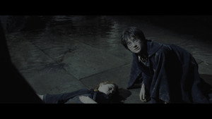 Harry Potter and the Chamber of Secrets