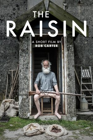 Póster de la película The Raisin