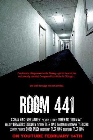 Póster de la película Room 441