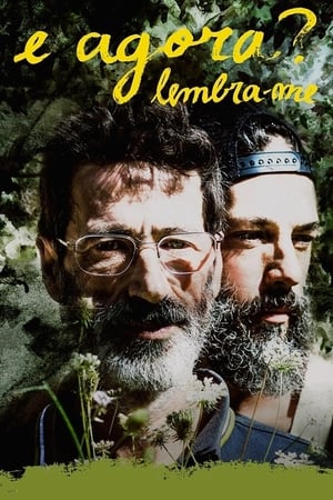 Póster de la película E Agora? Lembra-me