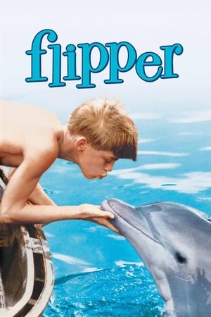 Póster de la película Mi amigo Flipper