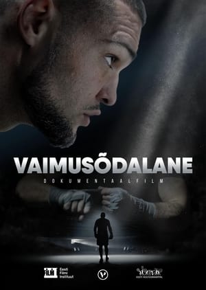 Póster de la película Vaimusõdalane