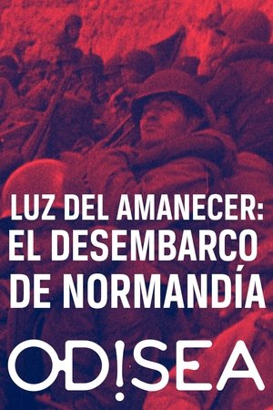 Póster de la película Luz del amanecer: el Desembarco de Normandía