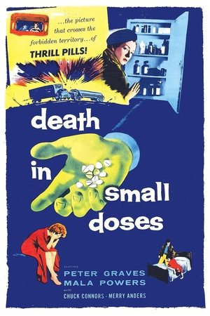 Póster de la película Death in Small Doses