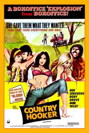 Póster de la película Country Hooker