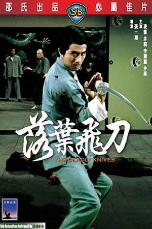 Póster de la película 落叶飞刀