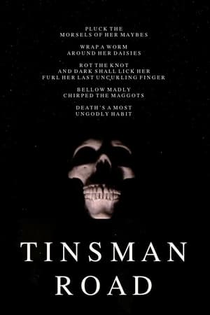 Póster de la película Tinsman Road